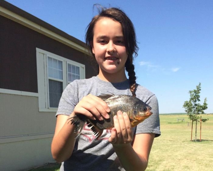 Девочка поймала "рыбу с человеческими зубами"